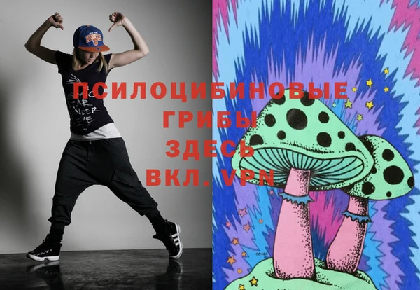 МДПВ Абдулино