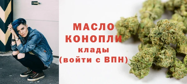СК Алексин
