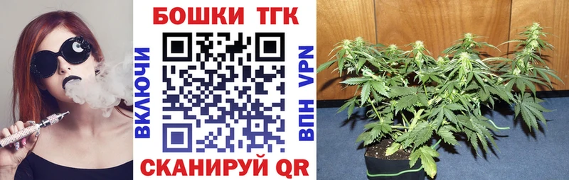 Конопля MAZAR  Шиханы 